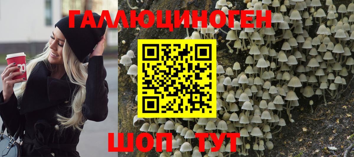 Псилоцибиновые грибы мицелий  Вход с VPN  купить  цена  Полысаево 
